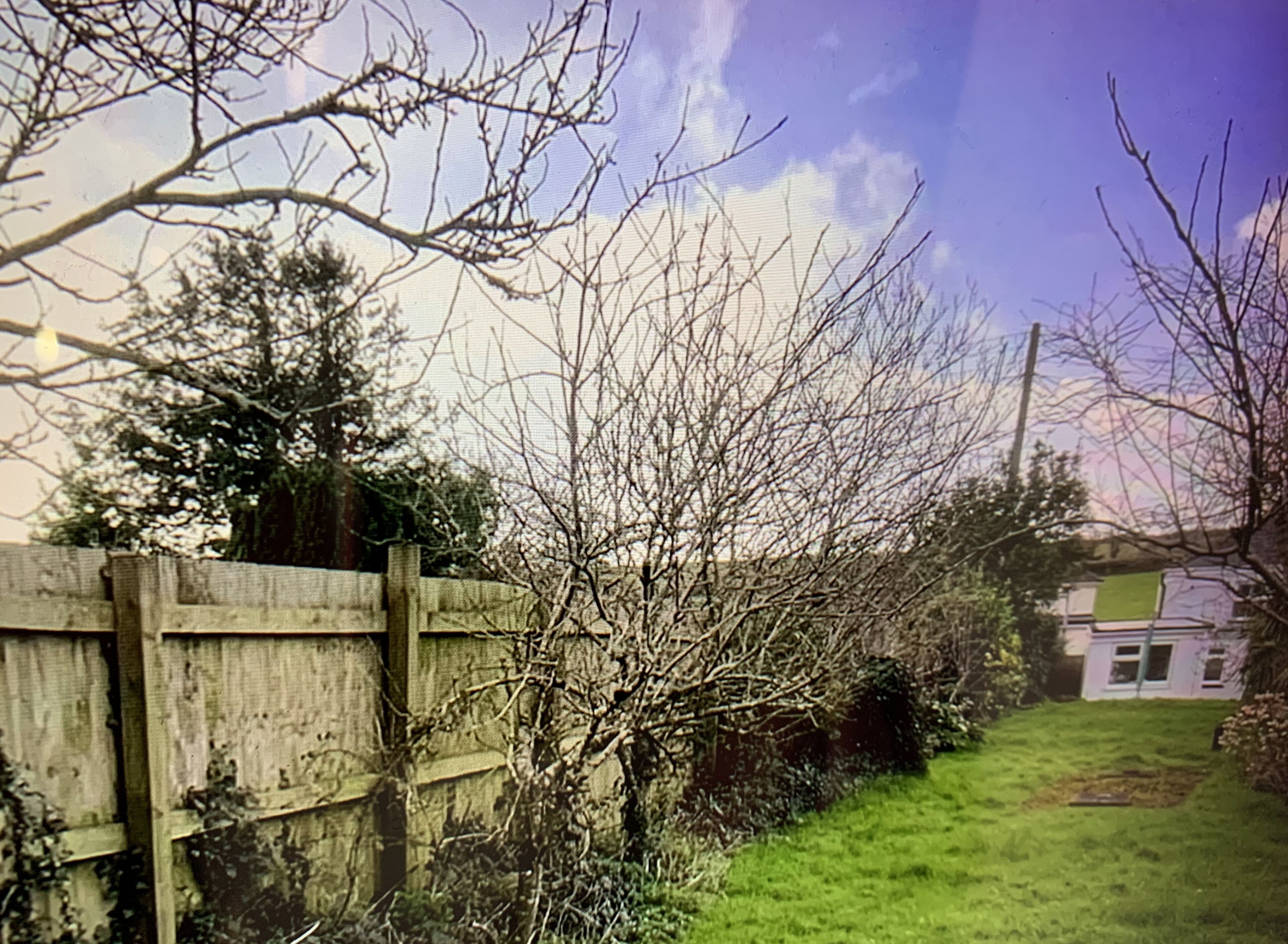 A wooden fence, a grassy yard, and a house with a green door.