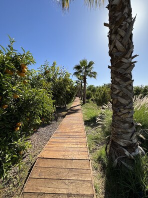 Enceinte de l’hébergement