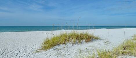 Condo, Plusieurs lits (Mariner's Pointe 701) | Plage