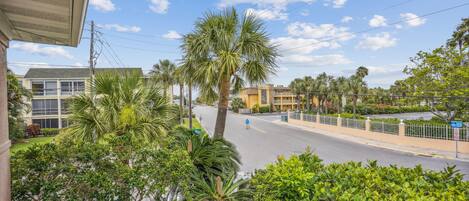 A residential street with palm trees, a clear sky, and houses.