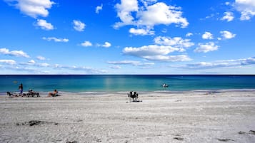 Condo, 1 King Bed (Harbor House 37) | Beach