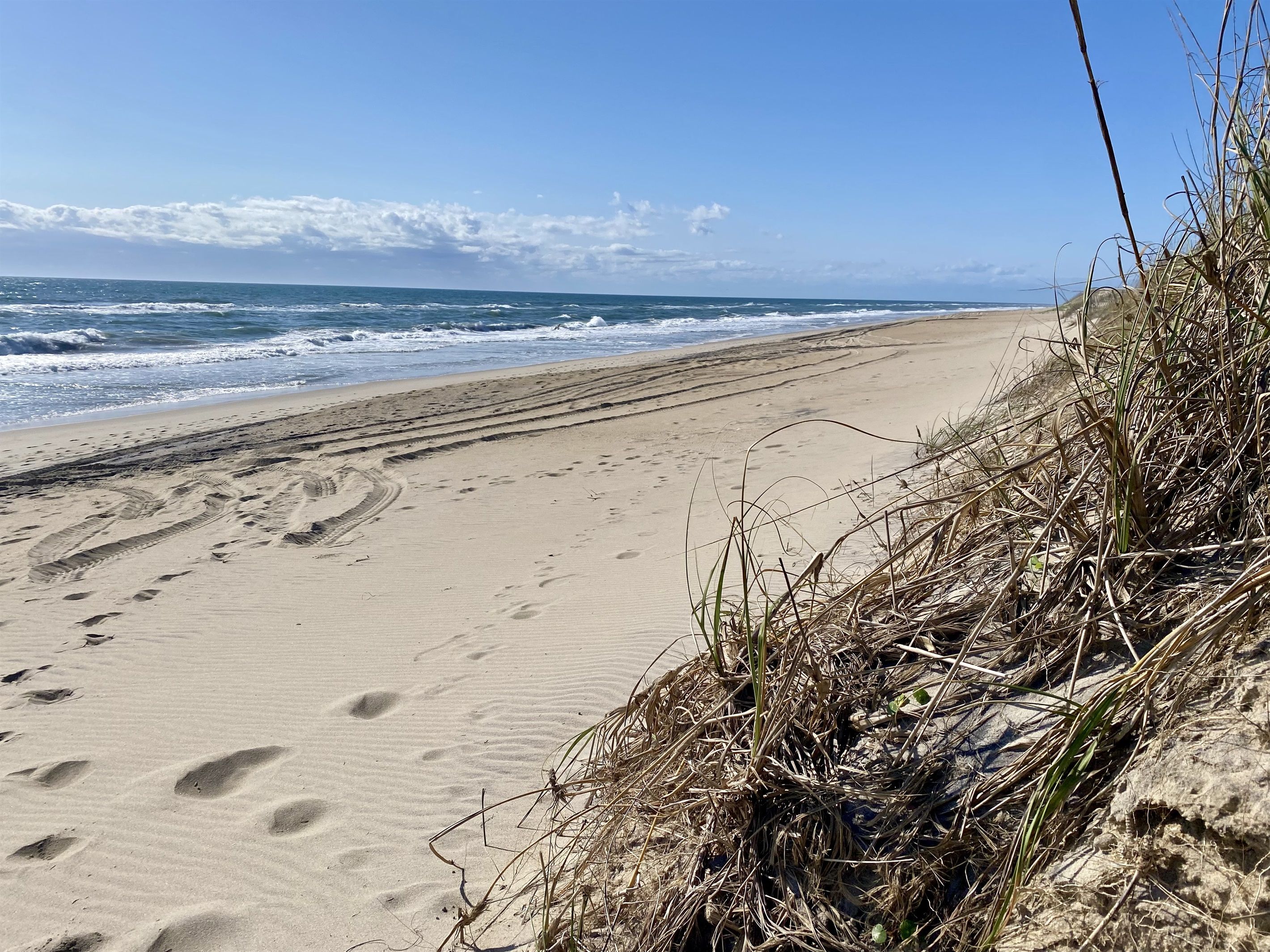 Une plage de sable où l’on peut voir des empreintes et des algues, qui s’étend jusqu’à l’océan sous un ciel dégagé.