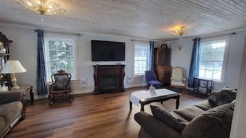 Smart TV, chimenea y libros