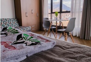 Dobbelt- eller tomannsrom – senior, for menn og kvinner, privat bad, byutsikt | Wi-fi (inkludert)