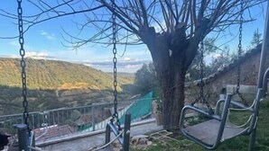 A swing set with metal chains and seats, a tree, and a view of a hilly landscape.
