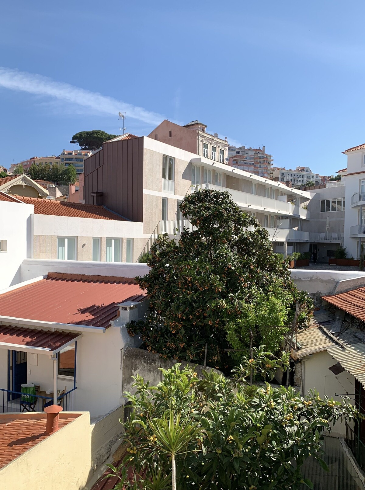 Imagen de perfil del propietario o de la propietaria