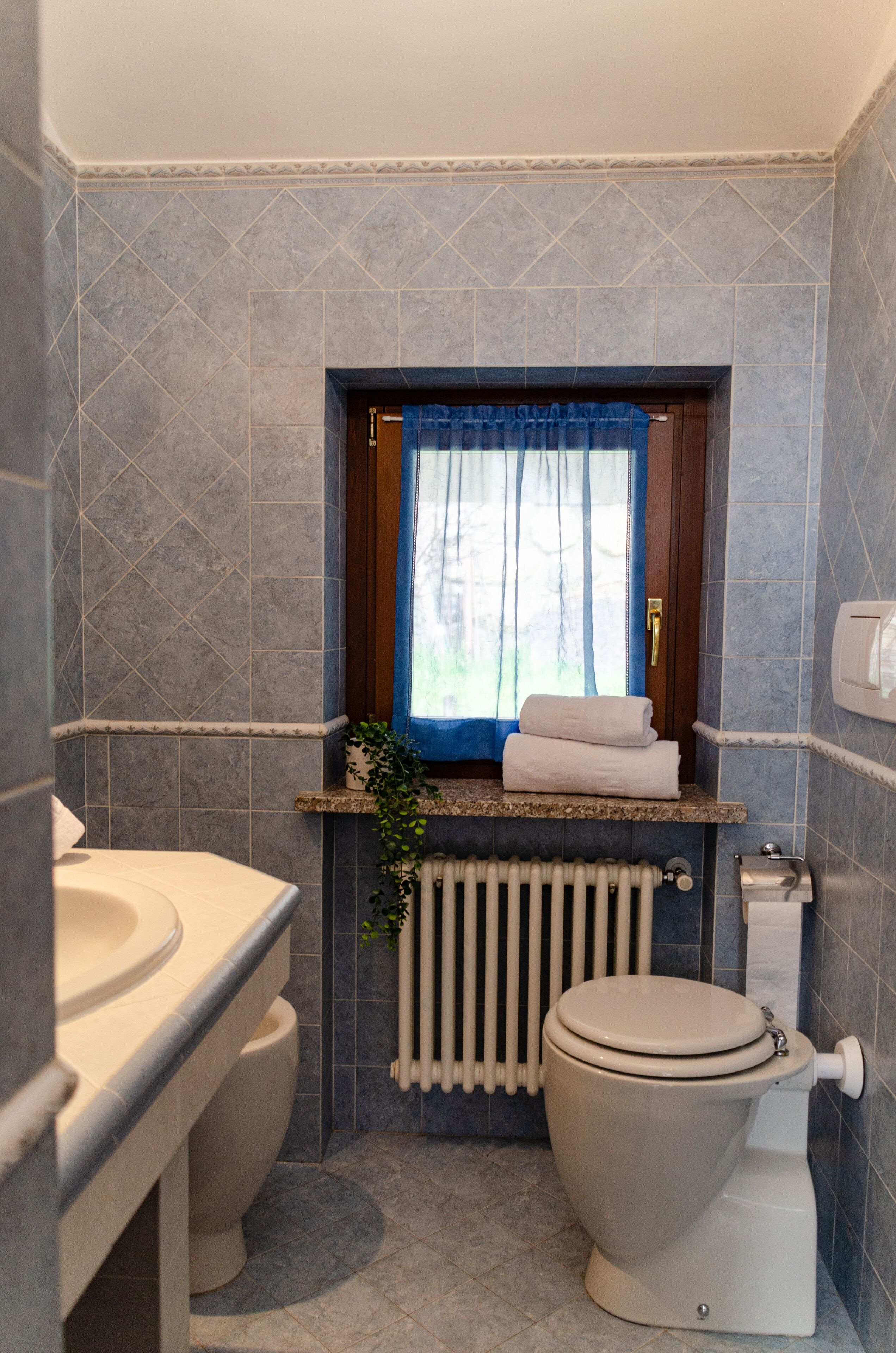 Un baño pequeño con inodoro, lavamanos y ventana con cortinas.