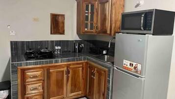 Fridge, microwave, stovetop, electric kettle