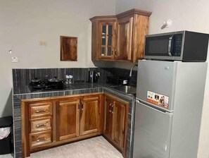 Frigorífic, microones, placa de cuina i bullidora elèctrica 