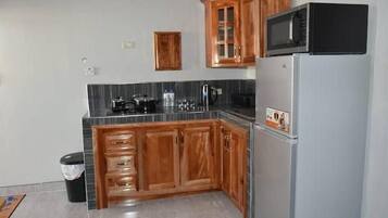 Fridge, microwave, stovetop, electric kettle