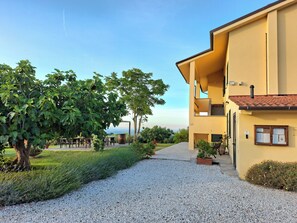 Uklassifisert bilde, 4 av 18, knapp