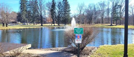 Property grounds