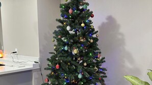 A Christmas tree with colorful ornaments and lights, placed on a dark red carpet in a room with a white tiled floor and a desk with a computer. - Palace Inn Blue Jones Rd  (Houston)