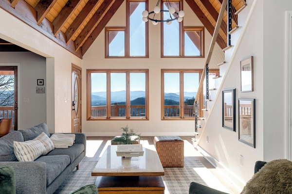 Smart TV, fireplace, books, music library