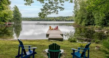 Serene, breathtaking waterfront views in Muskoka, half an hour from Algonquin!
