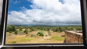 Vista desde una ventana que muestra un muro de piedra y un paisaje cubierto de hierba.