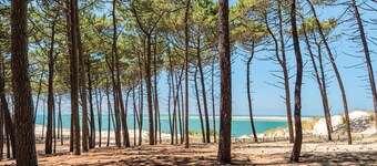 Awesome home in Lège-Cap-Ferret