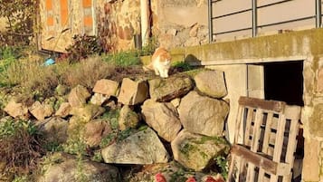 住宿地面