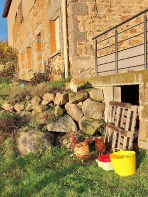 Enceinte de l’hébergement