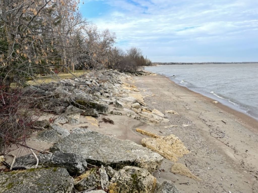 A rocky shoreline with sparse vegetation and a calm body of water.