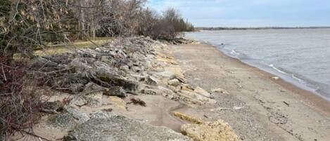 A rocky shoreline with sparse vegetation and a calm body of water.