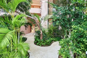 Outdoor rock climbing - Aflora Tulum  (Tulum)