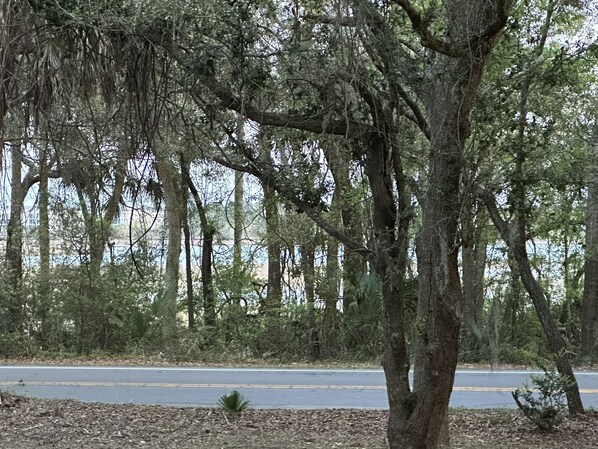 A road lined with trees and a body of water in the background.