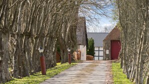 A narrow pathway flanked by leafless trees, leading to a traditional building with a tiled roof and a red door. - 7 bedroom awesome home in Rønde (Rønde)