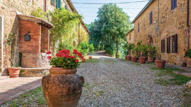 A narrow cobblestone alley flanked by rustic stone buildings with terracotta pots and potted plants. - Beautiful home in Siena with WiFi (Siena)