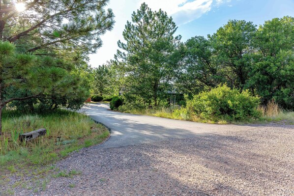 A gravel road winding through a wooded area with pine trees and dense shrubbery. - Wilderness Haven with Hot Tub in Franktown (Franktown)