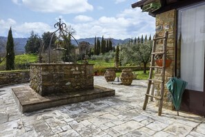 Un patio de piedra con una fuente, plantas en macetas y una escalera apoyada en un muro de piedra.