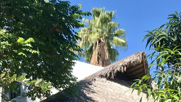 A building with a thatched roof and a balcony with a pink railing.