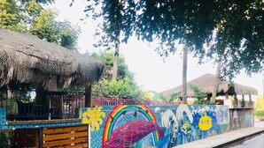 A mural with a colorful dolphin, a rainbow, and a sun.