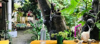 Traveler´s place into downtown San José core!