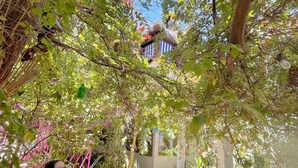 A garden with a pathway, potted plants, and a structure with a blue and white striped awning.