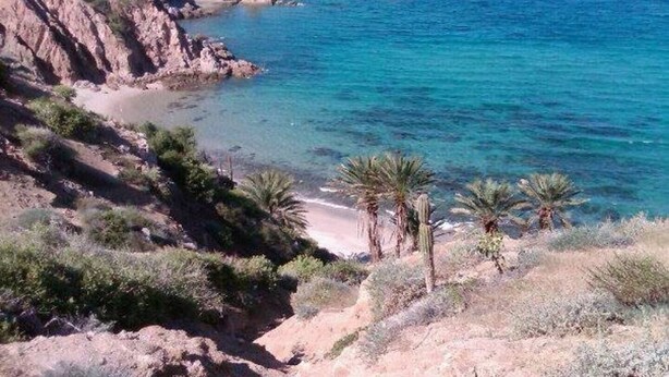 A coastal landscape with rocky terrain, a beach, and palm trees.