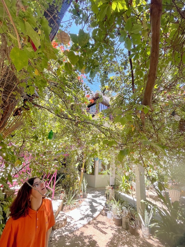 A garden with a pathway, potted plants, and a structure with a blue and white striped awning.