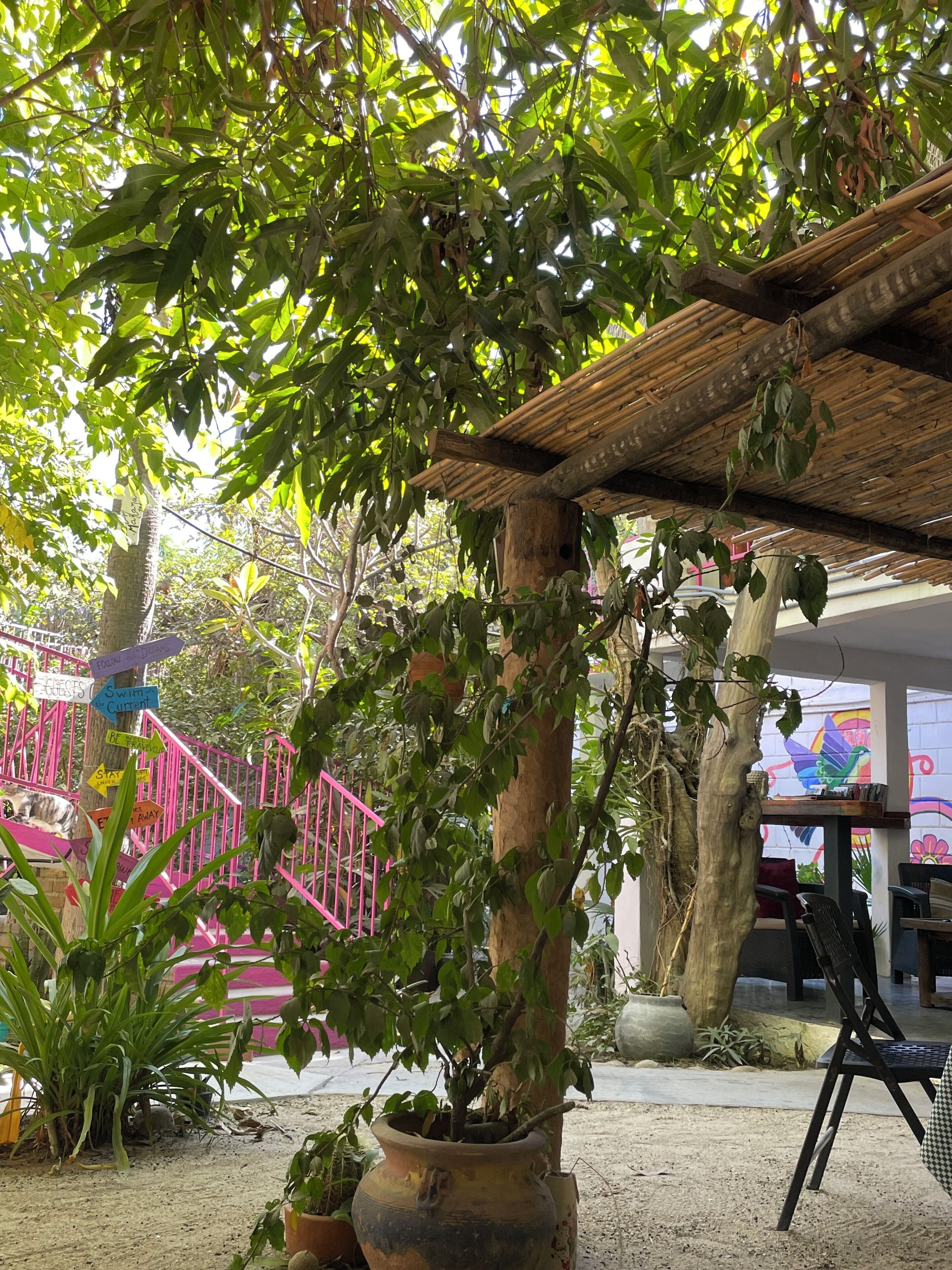 Terraza o patio