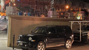 A black SUV parked in a covered outdoor area with a thatched roof, palm trees, and a building with a lit window in the background.