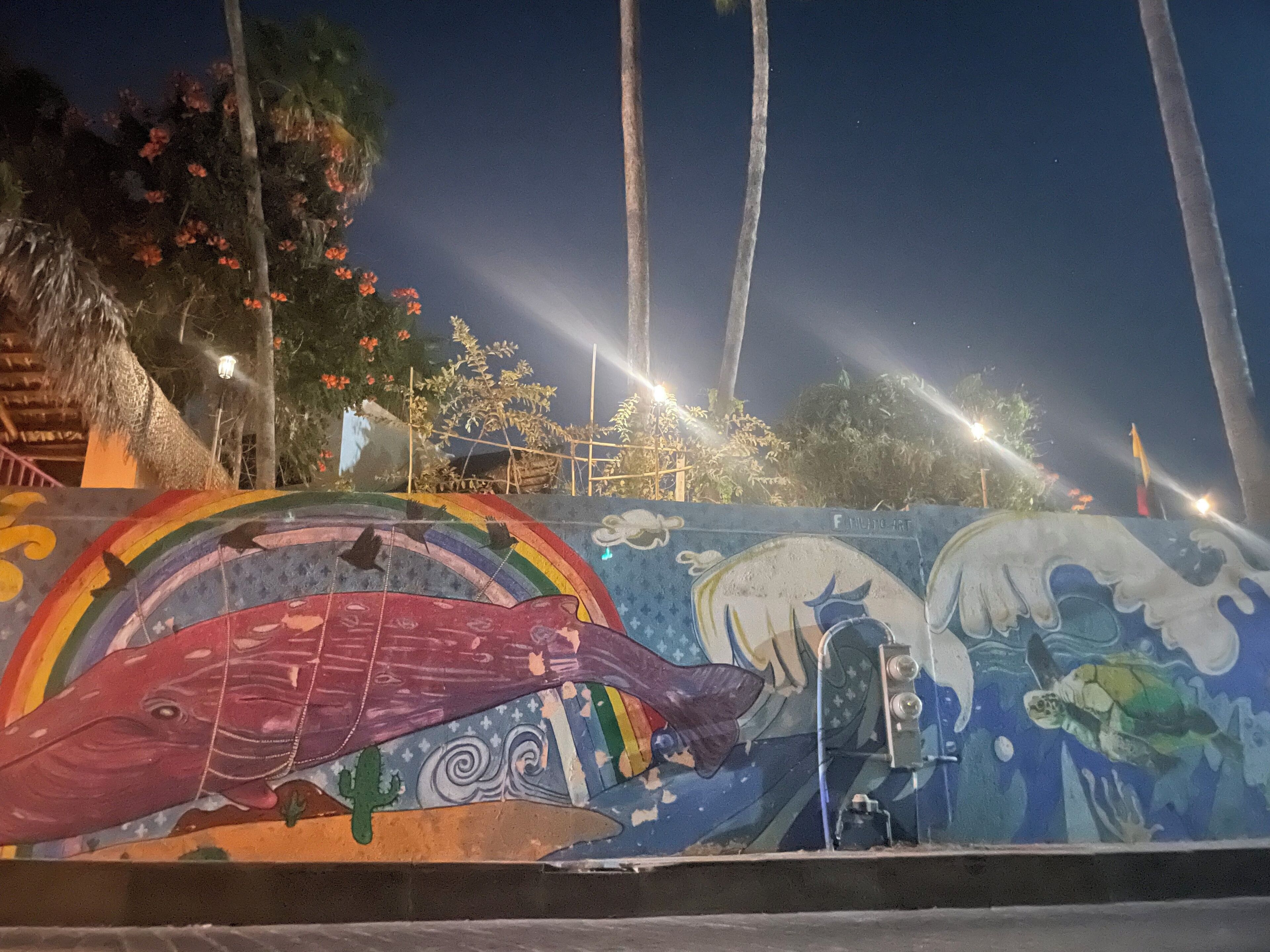 Een muurschildering met een walvis, een schildpad en een regenboog.