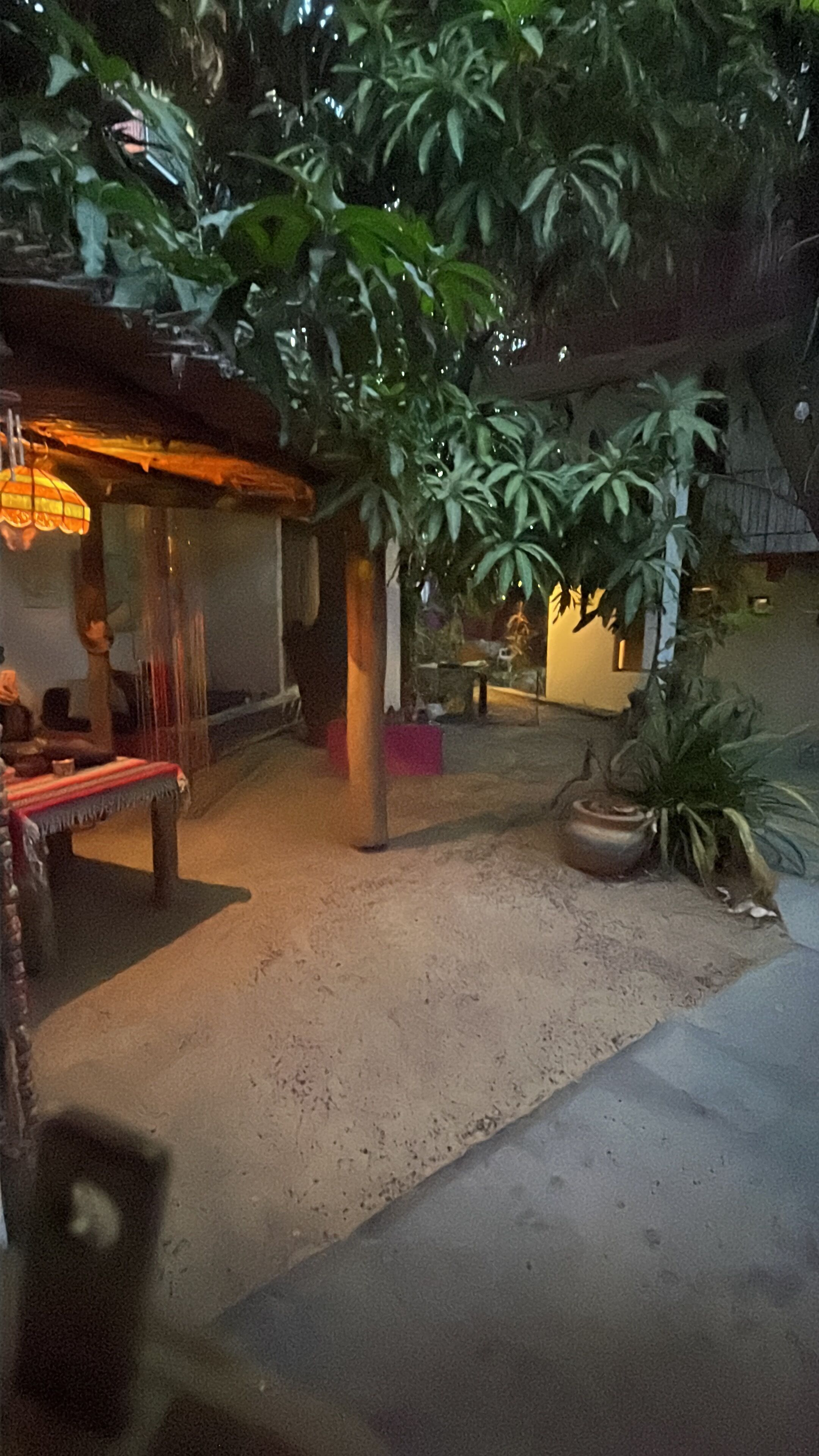 Terraza o patio
