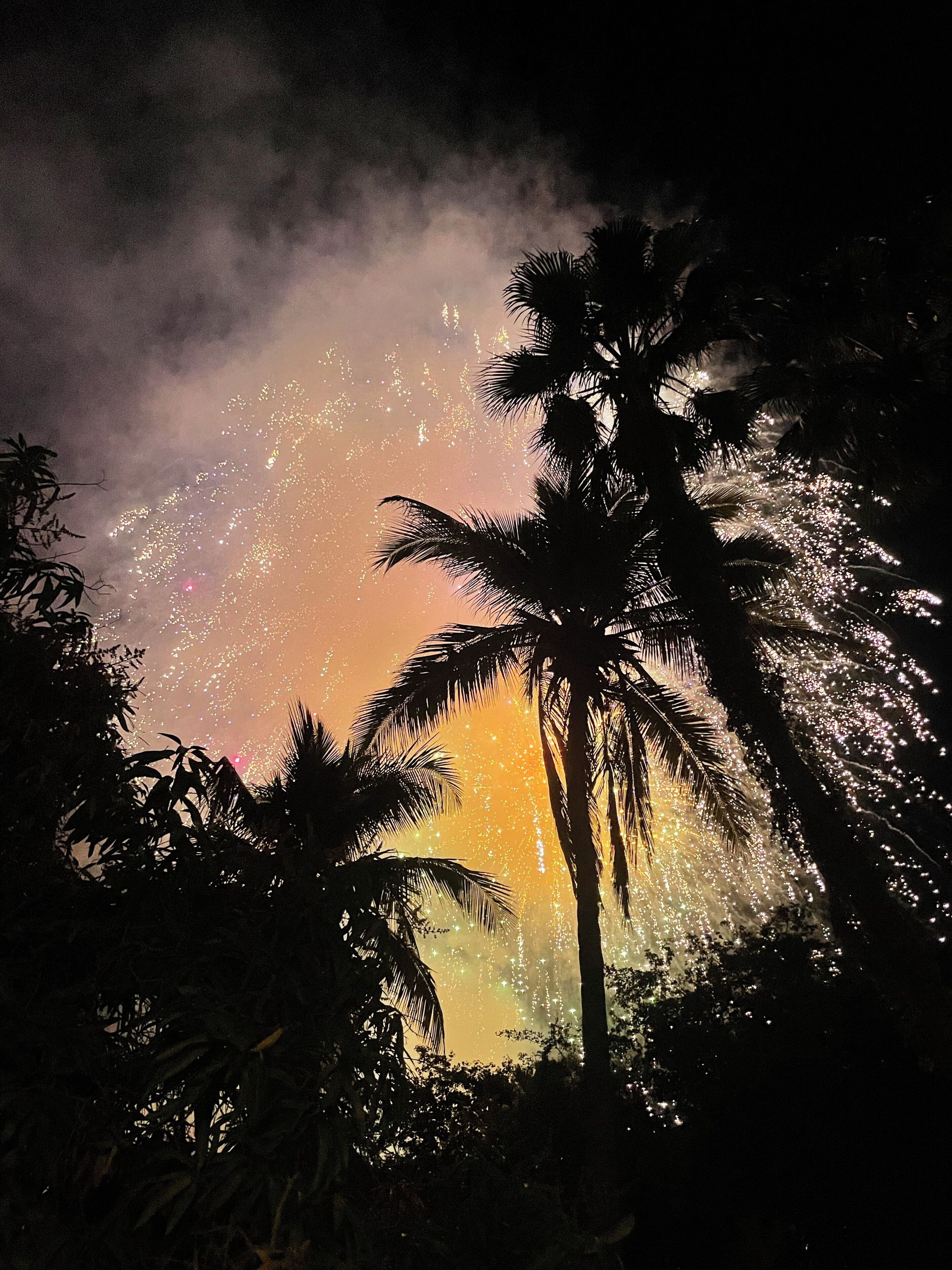 Silhuetas de palmeiras contra um céu noturno com fogos de artifício.