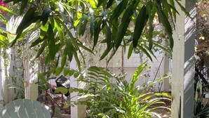 A garden area with a white plastic chair, a wooden table with a vase and a bowl, and various plants.