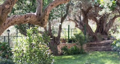 Il Grillo Chiaramonte Gulfi