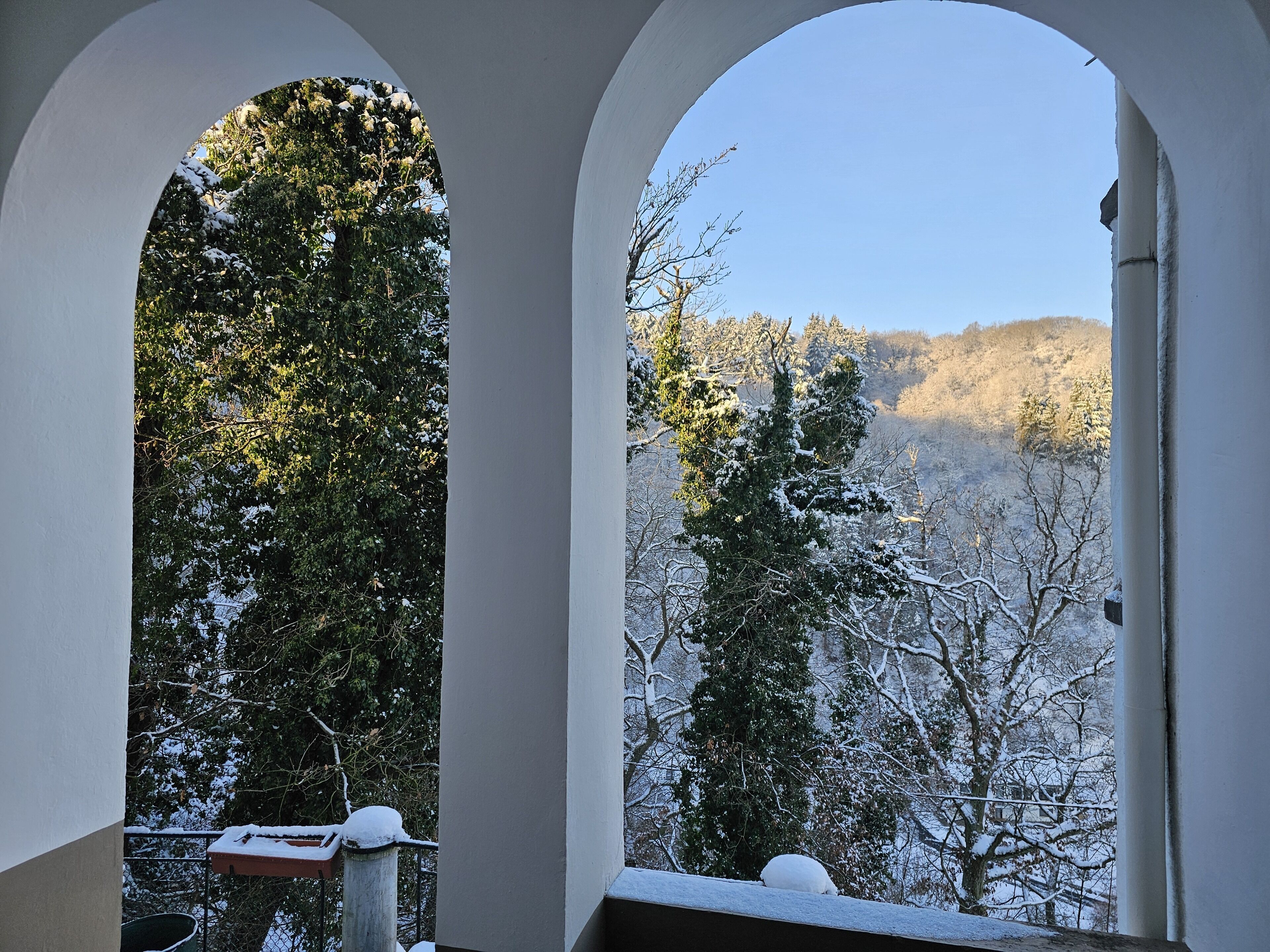 A view through an arched window of a snowy landscape with trees and a mountain in the background.