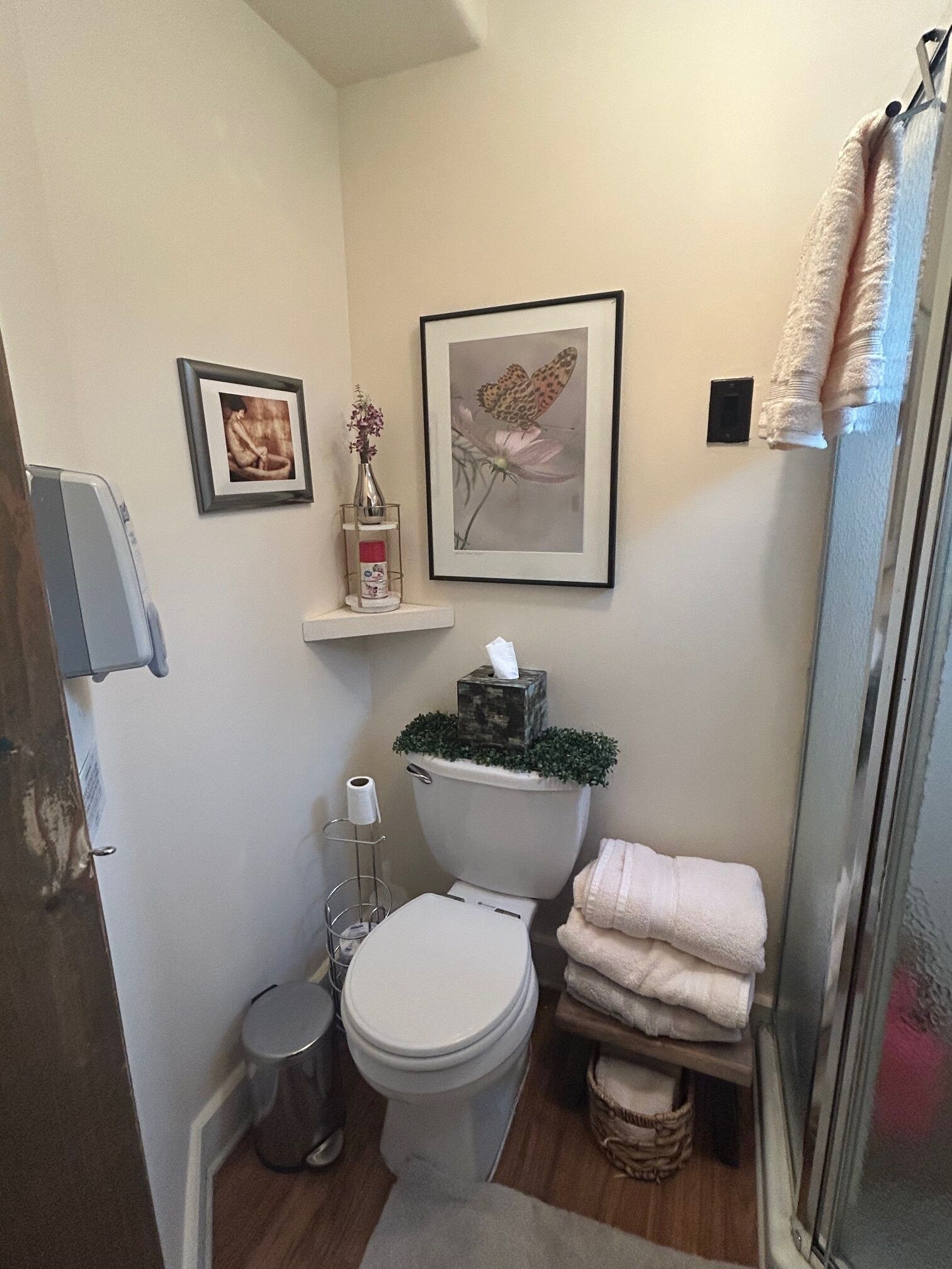 Une petite salle de bain comprenant des toilettes, un lavabo et une douche. On y trouve des tableaux encadrés au mur, une petite étagère avec des articles de toilette et une plante décorative posée sur le réservoir des toilettes.