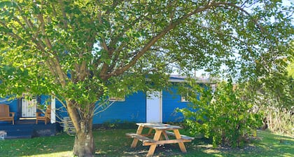 Modern Farmhouse in town.