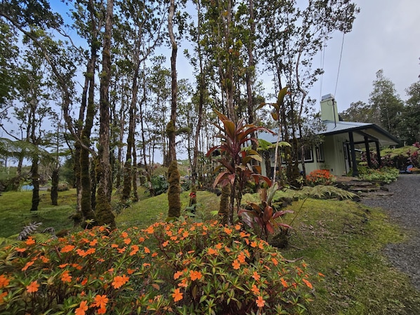 A small house surrounded by lush greenery and orange flowers. - Cozy Volcano Cottage (Volcano)