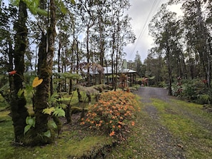 Parco della struttura