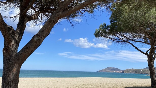 A beach with a stone wall and trees in the foreground, a clear sky, and a distant mountain. - Le Coup de Cœur Dargelès (Argelès-sur-Mer)